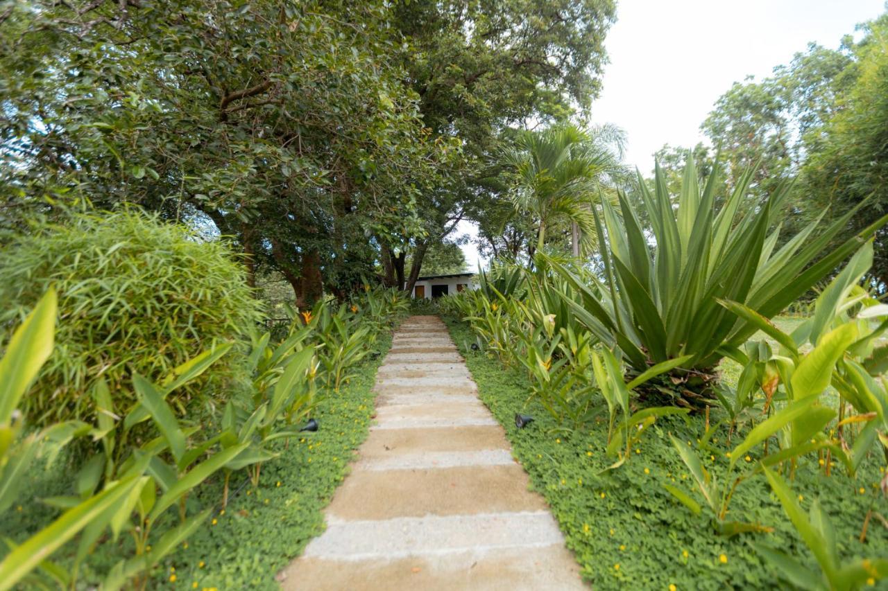 Bellagio Hills Hotel And Restaurant Paoay エクステリア 写真